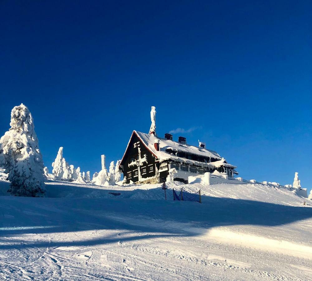 Ski Sun Sea - Rodzinny Apartament Pod Gondola ชเวียราโดว์-สโดรยจ์ ภายนอก รูปภาพ